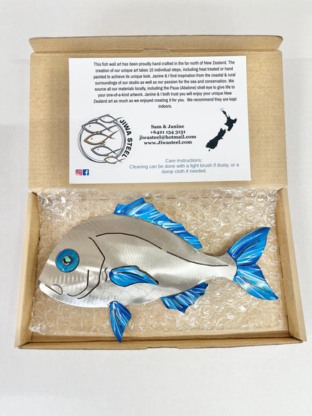 Under size snapper “Hand painted blue”