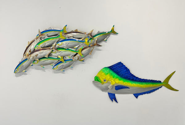 Dozen Kingi school “Multi colours” including paua eyes
