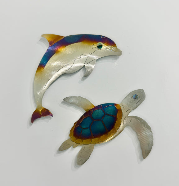 Magnet Turtle