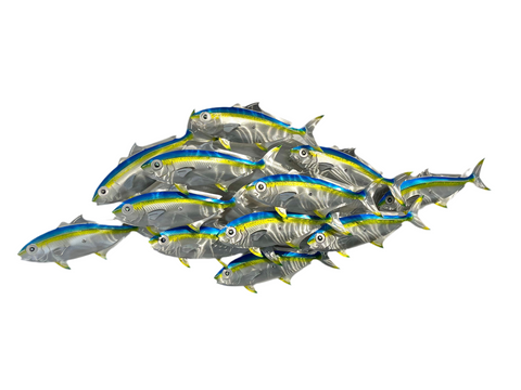 Dozen Kingi school “Airbrush Blue” including paua eyes