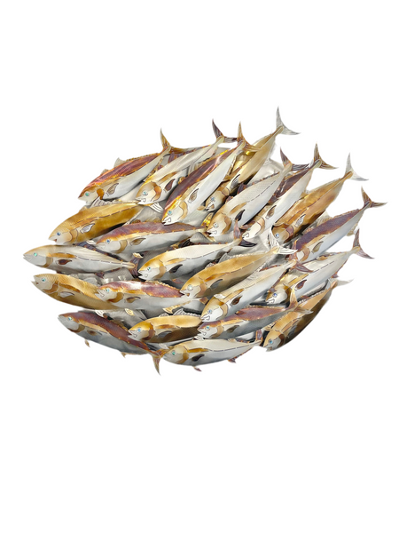 King Fish ball Heat.