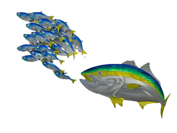 Fish Splash