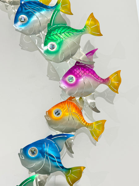 Angel fish vertical school