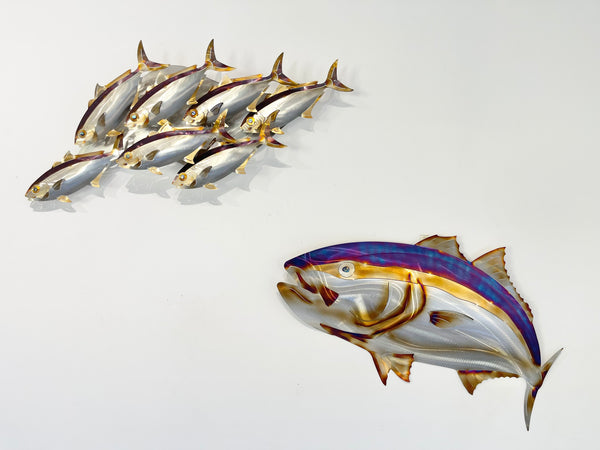 7 Kingfish Heat treated colourings