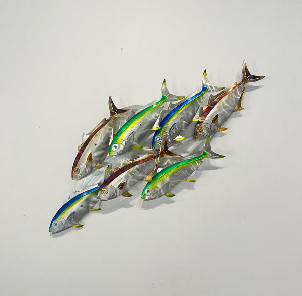 7 Kingfish Multi colours