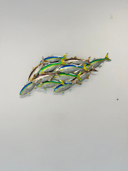 Dozen Kingi school “Multi colours” including paua eyes