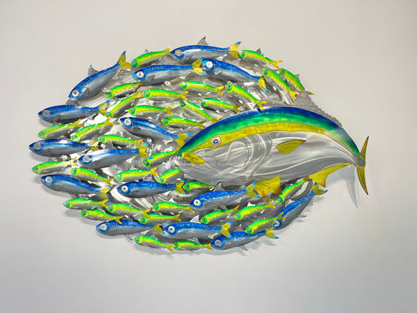 Kingfish with sardines & pilchards