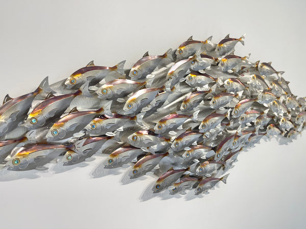 55 piece Baitfish school heated treated multi colour on our D shape canvas