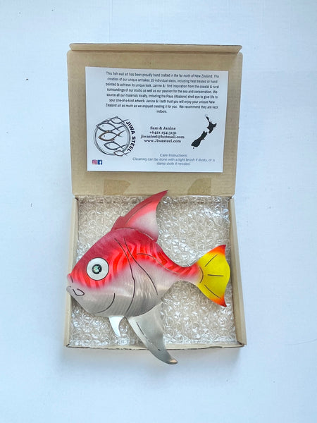 Angelfish Red