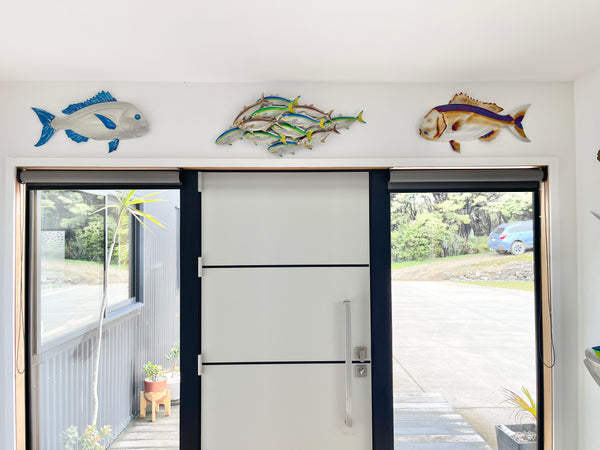 Dozen Kingi school “Multi colours” including paua eyes