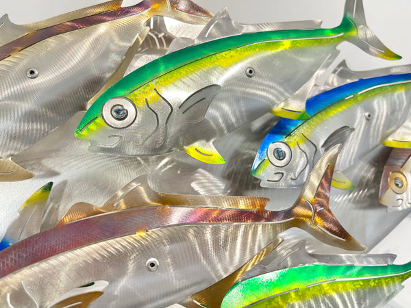 Dozen Kingi school “Multi colours” including paua eyes