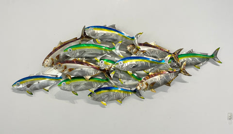 Dozen Kingi school “Multi colours” including paua eyes