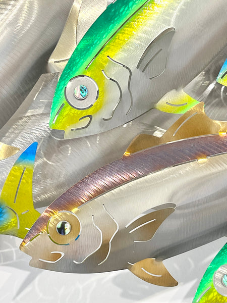 7 Kingfish Triple mix of colour