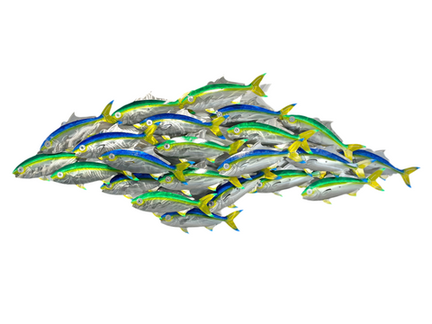 Cruising Kingfish pack “Green & Blue”