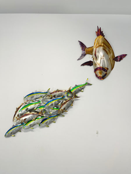 Dozen Kingi school “Multi colours” including paua eyes