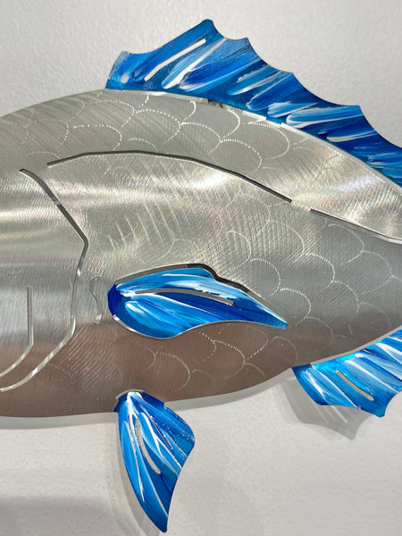 Under size snapper “Hand painted blue”