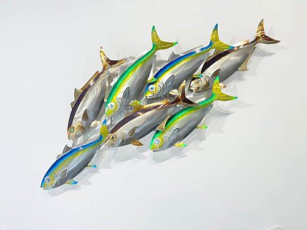 7 Kingfish Triple mix of colour