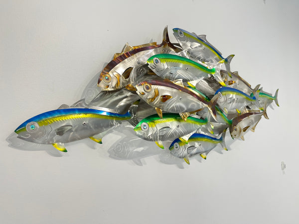 Dozen Kingi school “Multi colours” including paua eyes
