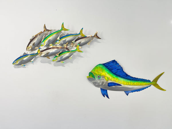 7 Kingfish Triple mix of colour