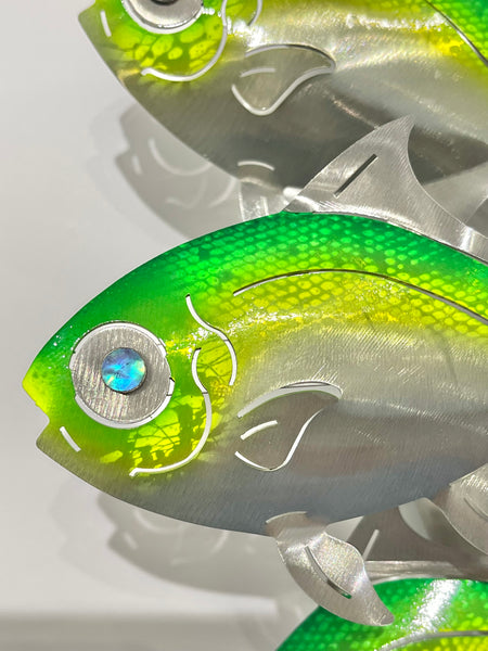 Moonfish in Tropical Greens