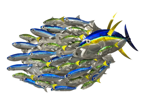 Tuna, Sardine & Baitfish Combo