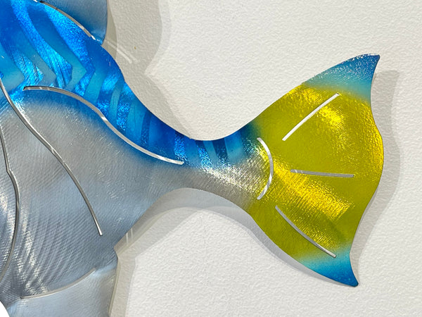 Angelfish Blue