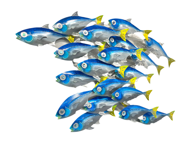 Fish Splash