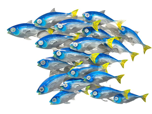 Fish Splash