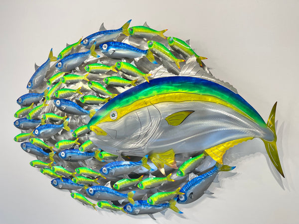 Kingfish with sardines & pilchards