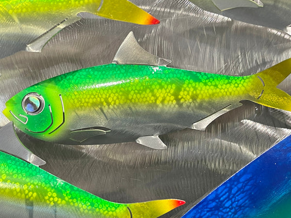 Kingfish with sardines & pilchards