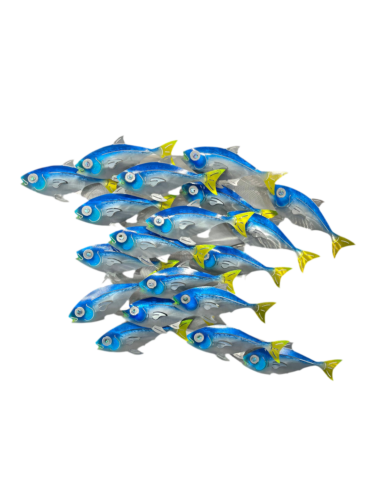 Fish Splash