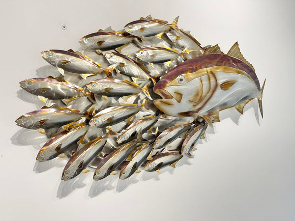 Hunting Kingfish.L bait-ball with Koheru heated treated mini