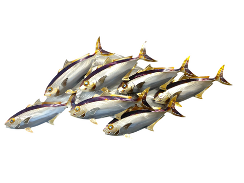 7 Kingfish Heat treated colourings