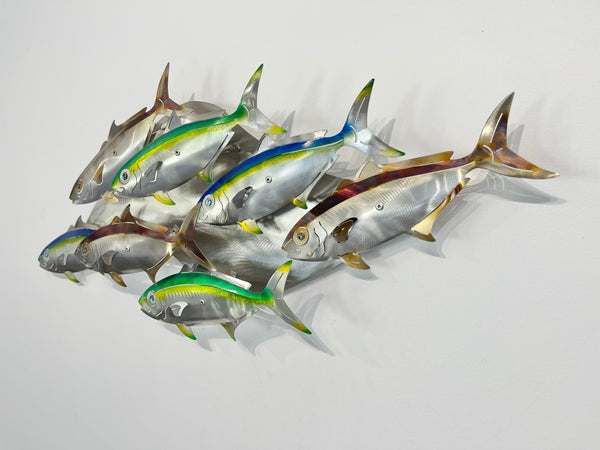 7 Kingfish Multi colours