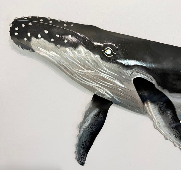 Humpback whale large