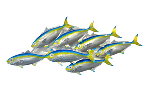 7 kingfish airbrushed  “Blue”