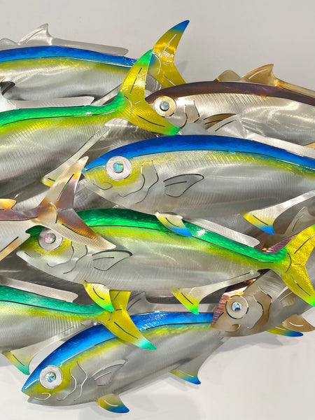 Dozen Kingi school “Multi colours” including paua eyes