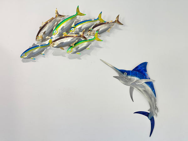 7 Kingfish Triple mix of colour