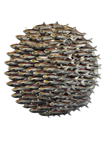 Sardine Bait Ball “Sphere style” 90cm diameter