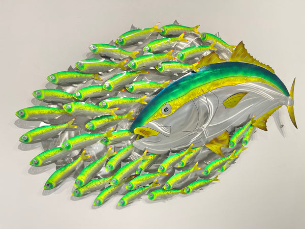 Hunting Kingfish.L bait-ball with Green baitfish mini