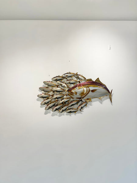Hunting Kingfish.L bait-ball with Koheru heated treated mini