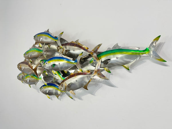 Dozen Kingi school “Multi colours” including paua eyes