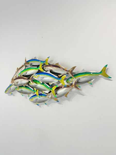 Dozen Kingi school “Multi colours” including paua eyes