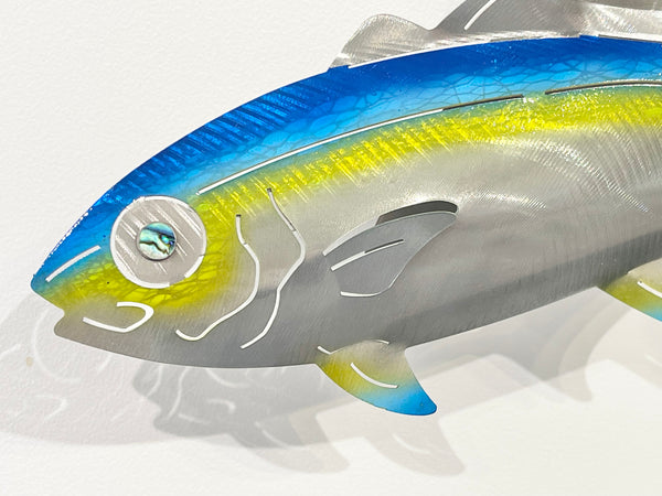 7 Kingfish Triple mix of colour