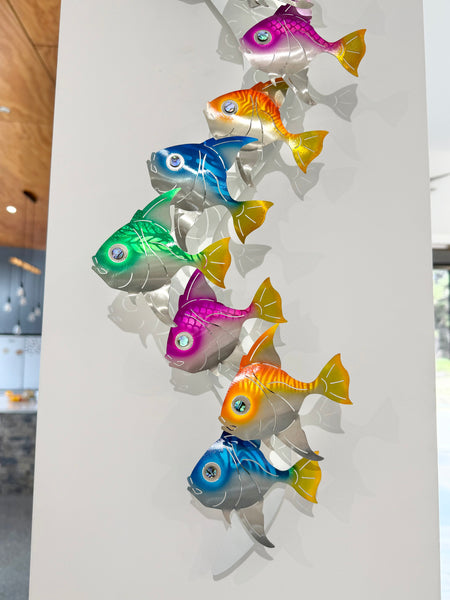 Angel fish vertical school