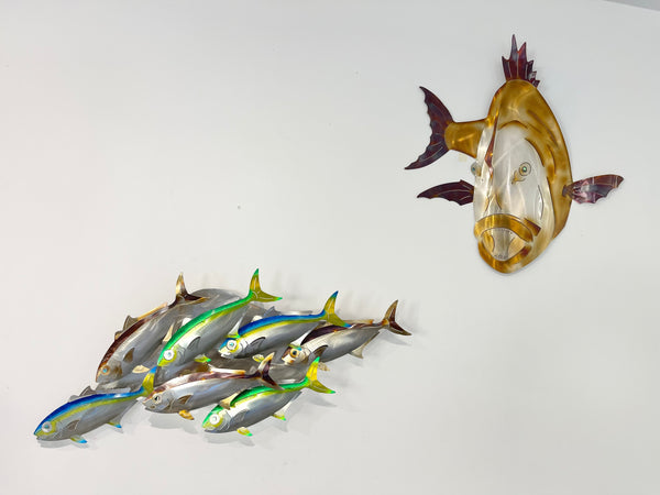 7 Kingfish Triple mix of colour