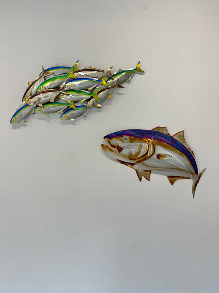 Dozen Kingi school “Multi colours” including paua eyes