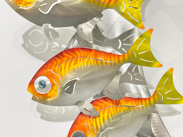 Moonfish Tiger stripes