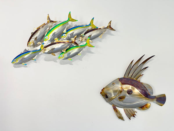 7 Kingfish Triple mix of colour