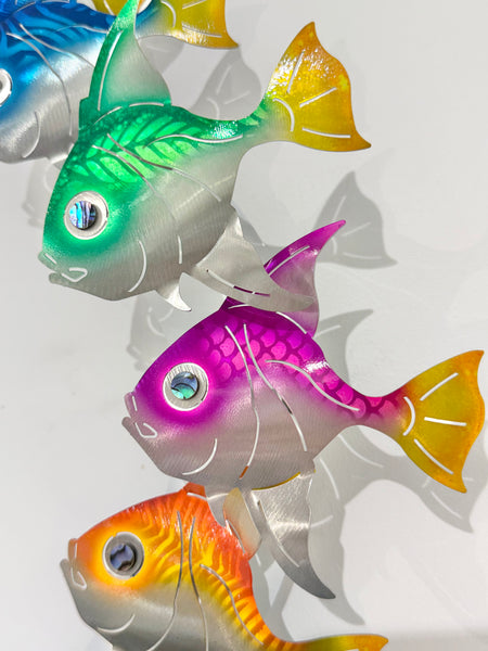Angel fish vertical school